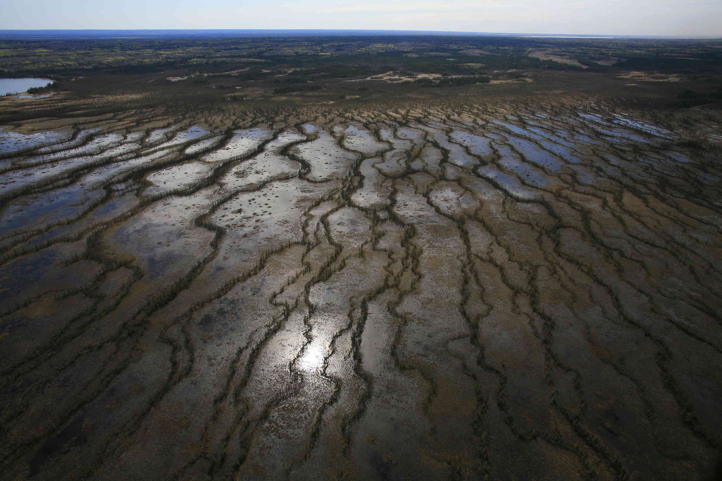 Cost Of Oil Change >> Financial specialists making carbon investment risk real ... Cost Of Oil Change >> Financial specialists making carbon investment risk real ...