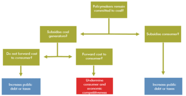 Vietnam Roadshow What We Learnt And Whats Next Carbon - 